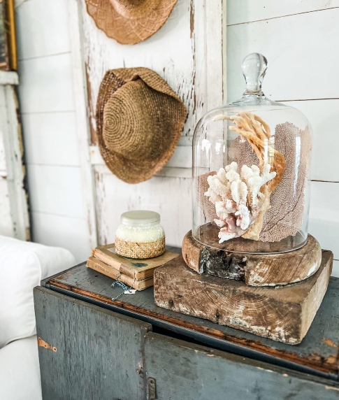 23 Coastal Glass Cloche Decor Ideas